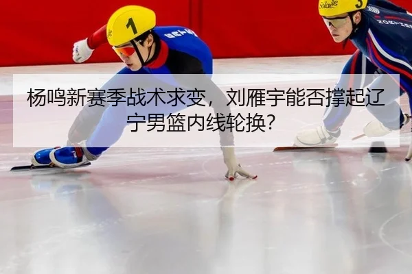 杨鸣新赛季战术求变，刘雁宇能否撑起辽宁男篮内线轮换？